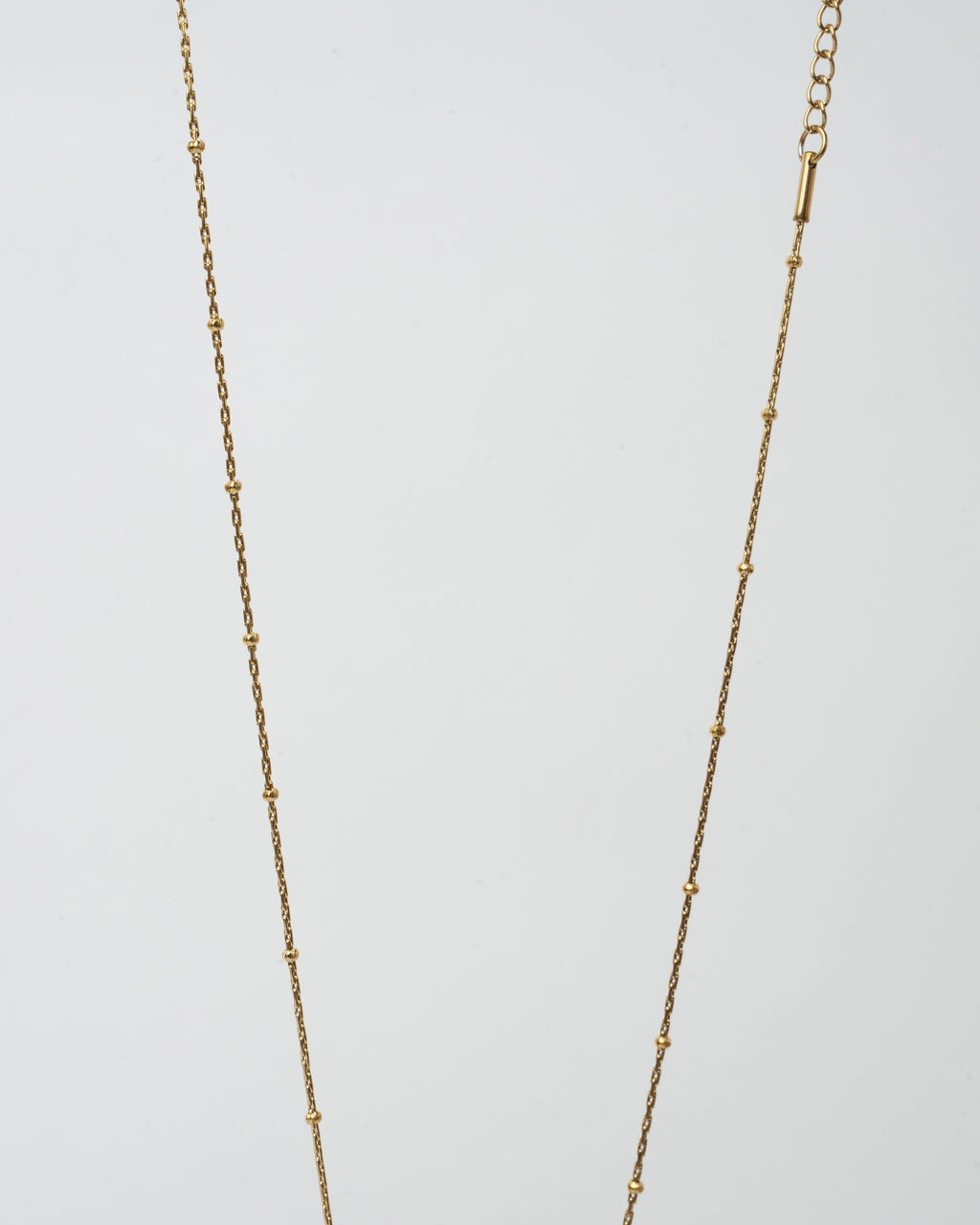 Elegant Gold Chain Necklace with Ruby Turtle Pendant