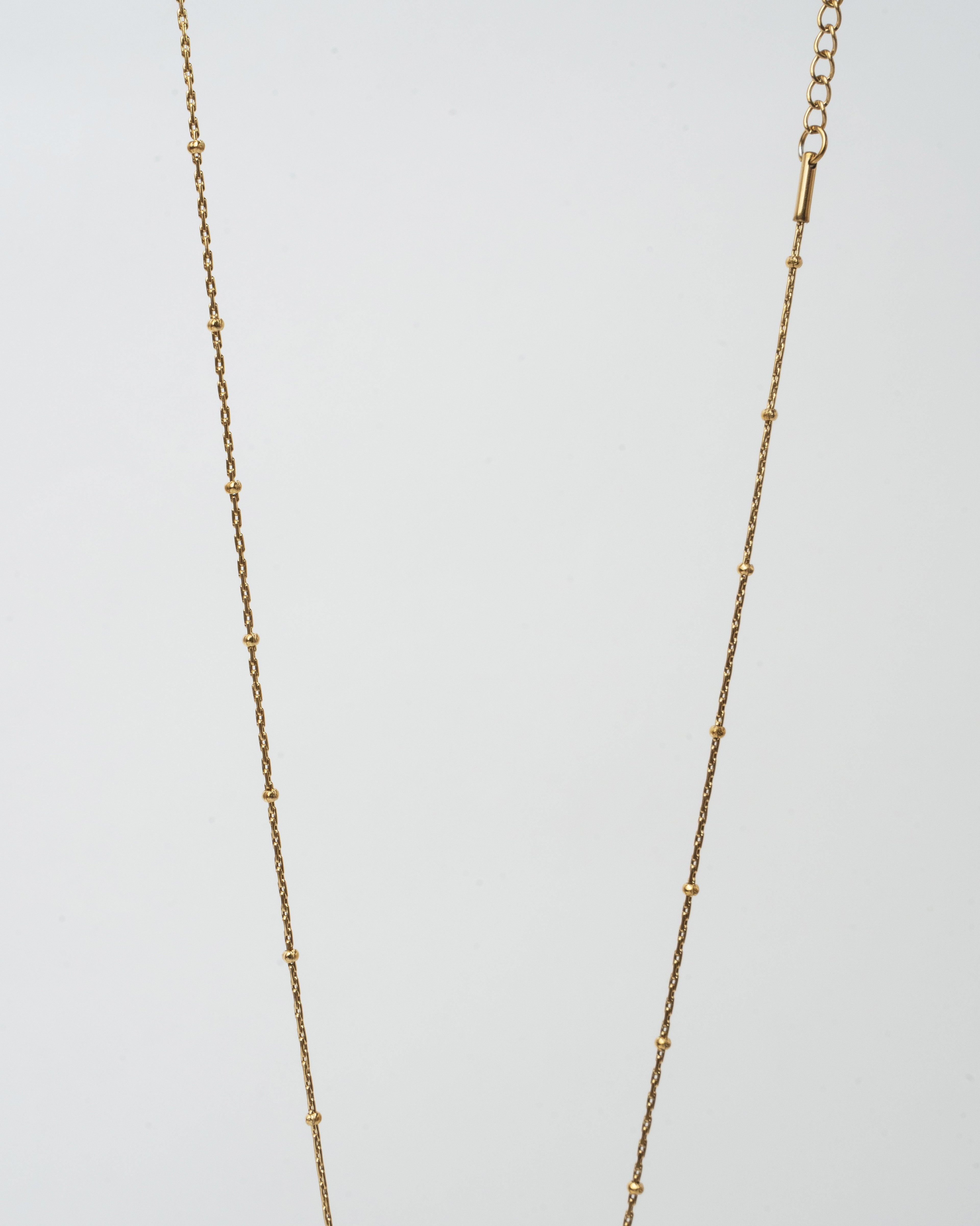 Elegant Gold Chain Necklace with Ruby Turtle Pendant